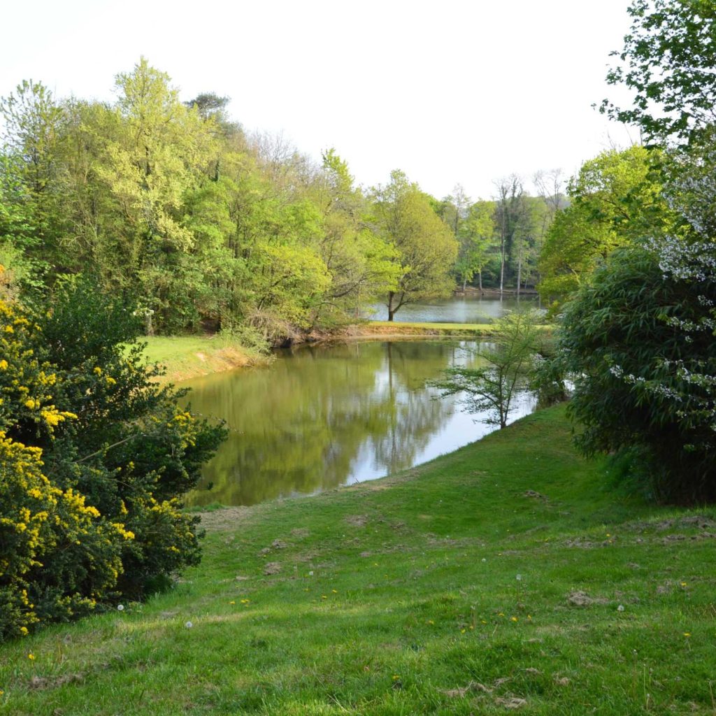 Etang- Gites du Lou - Guitté