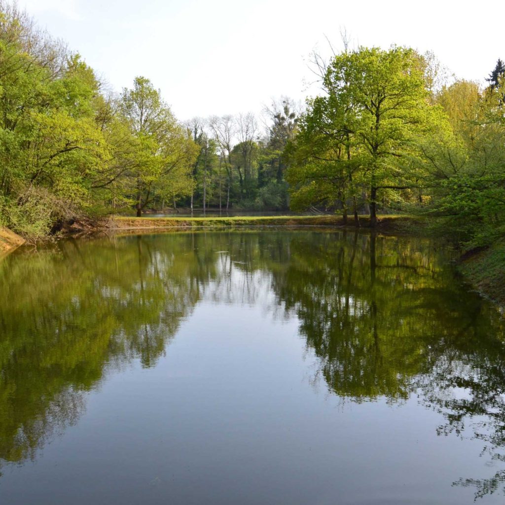 Etang- Gites du Lou - Guitté