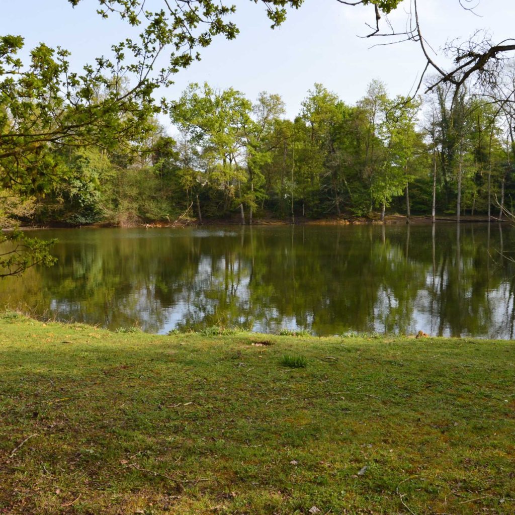 Etang- Gites du Lou - Guitté